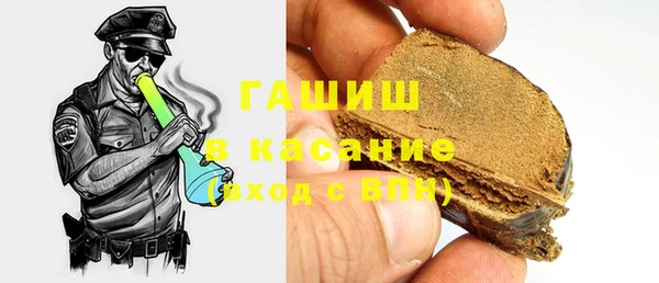 прущие грибы Новозыбков