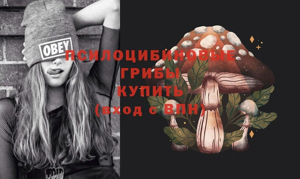 MESCALINE Новодвинск