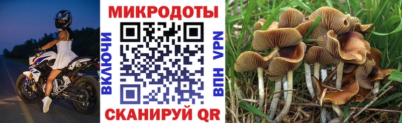 что такое наркотик  Красноуральск  Галлюциногенные грибы GOLDEN TEACHER 